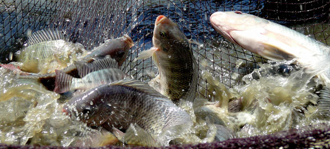 Slideshow Image 2