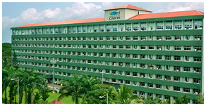 dream hotel