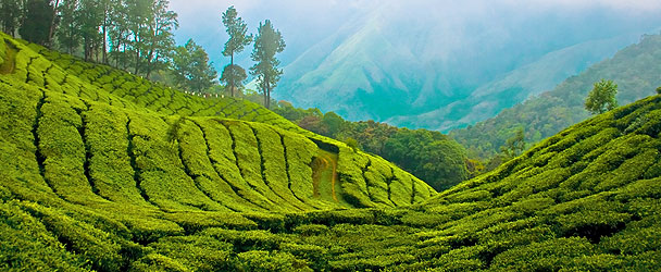 Munnar